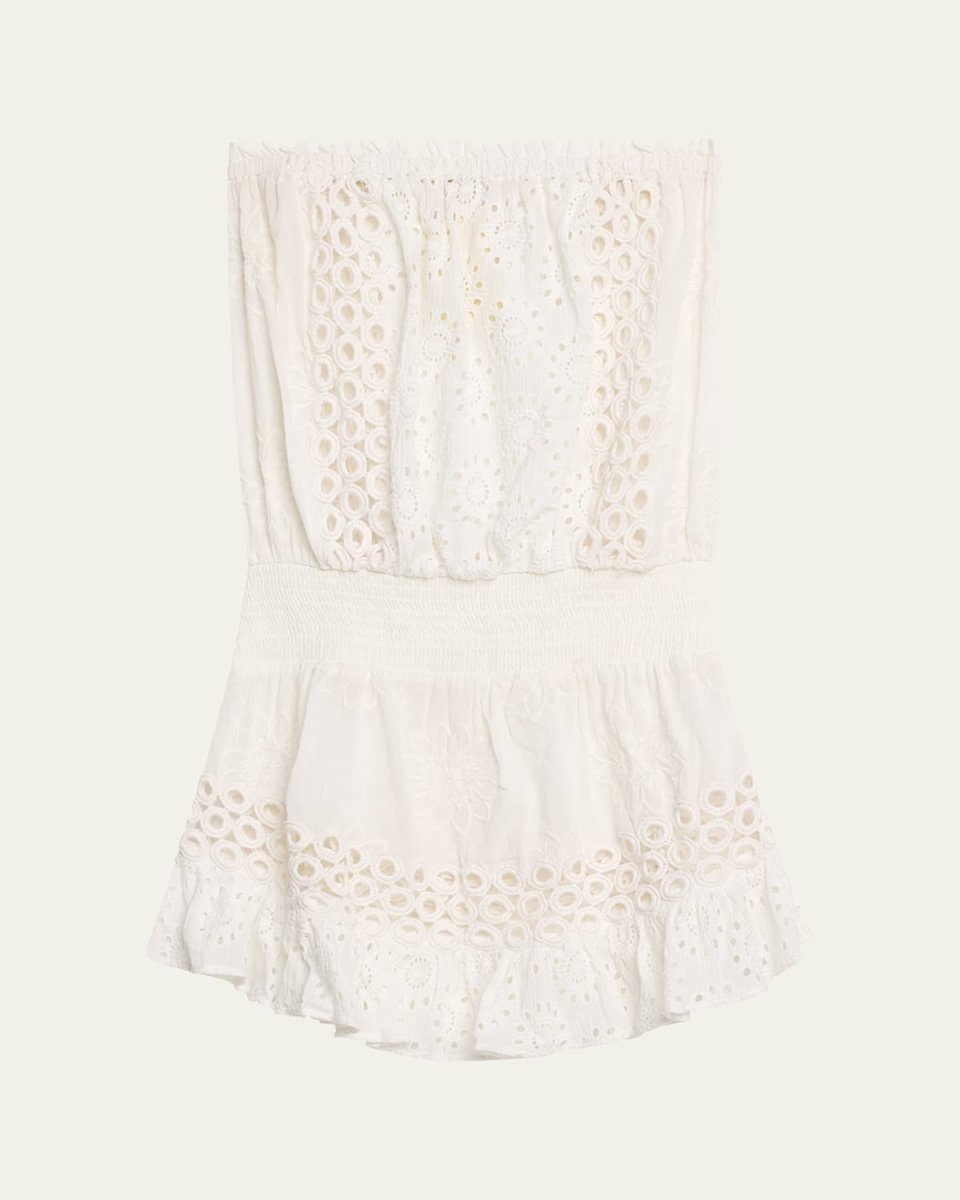 Lester Embroidered Strapless Mini Dress